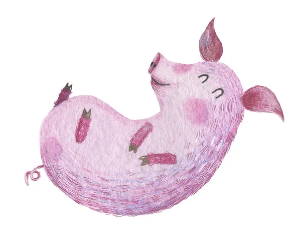 水彩明亮的手绘猪在白色隔离的背景 — 图库照片