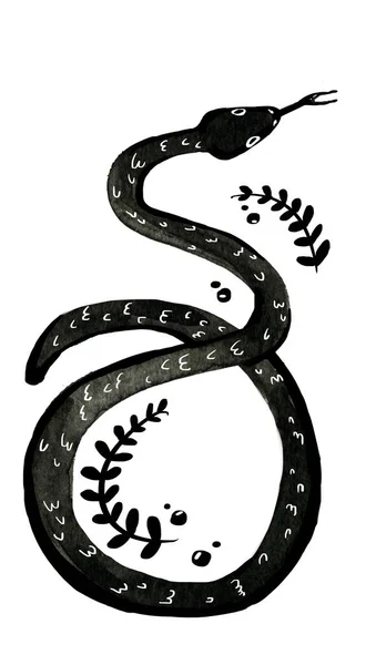 Black Ink Snake White Background — Stock Photo, Image