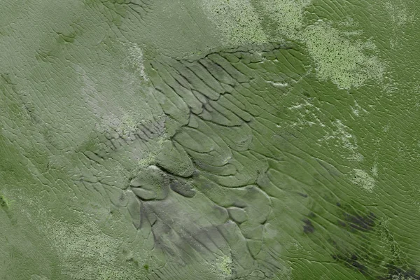 Arka plan, yeşil akrilik boyama dekoratif doku