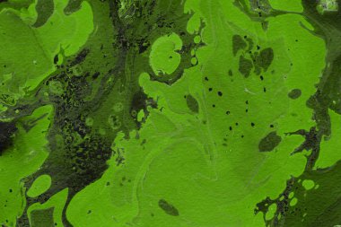 Yeşil Mermer arka plan, dekoratif doku