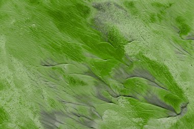 Arka plan, yeşil akrilik boyama dekoratif doku