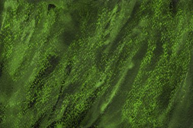 Pastel yeşil arka plan, dekoratif doku