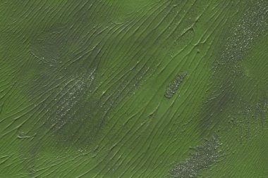 Yeşil arka plan, akrilik boyama dekoratif doku