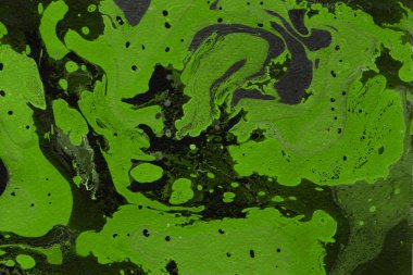 Yeşil Mermer arka plan, dekoratif doku