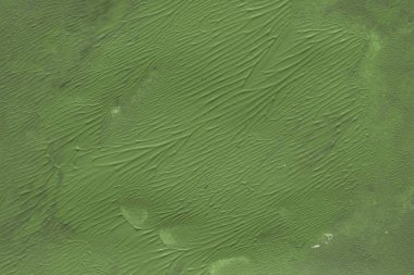 Yeşil arka plan, akrilik boyama dekoratif doku