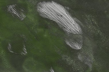 Yeşil arka plan, akrilik boyama dekoratif doku