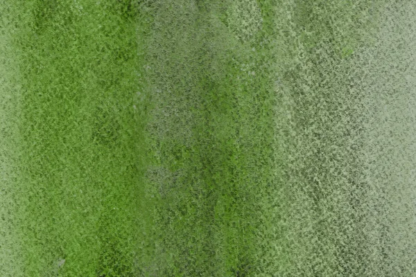 Rezumat Fundal Verde Pastel Textura Decorativă — Fotografie, imagine de stoc