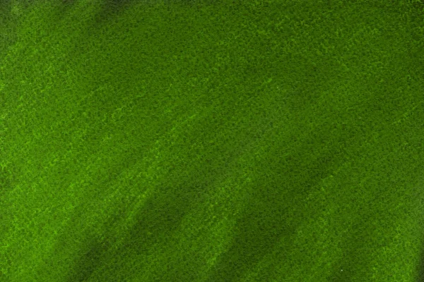 Pastel yeşil arka plan, dekoratif doku