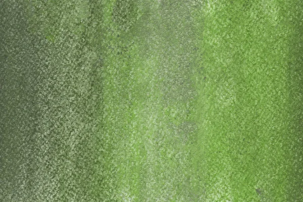 Pastel Abstrato Fundo Verde Textura Decorativa — Fotografia de Stock