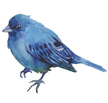 Beyaz izole arka planda suluboya parlak el çizilmiş kuş. 