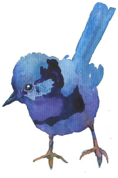 Aquarell Heller Handgezeichneter Vogel Auf Weißem Isoliertem Hintergrund — Stockfoto