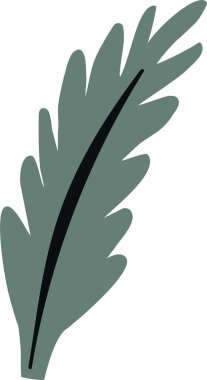 Beyaz izole arka planda el çizilmiş yaprak