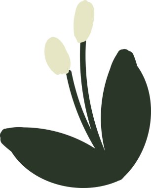 Beyaz izole arka planda el çizilmiş çiçekler