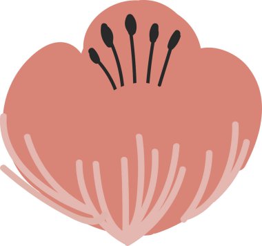 Beyaz izole arka planda el çizilmiş çiçek