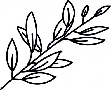 Beyaz izole arka planda el çizilmiş yaprakları