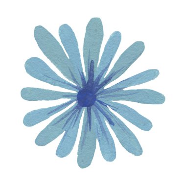 Beyaz arkaplanda izole edilmiş güzel çiçek.