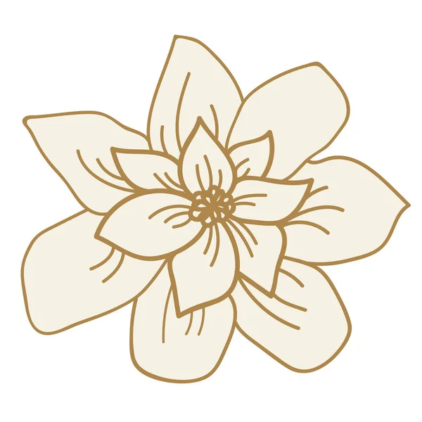 Schöne Blume Ikone Illustration — Stockfoto