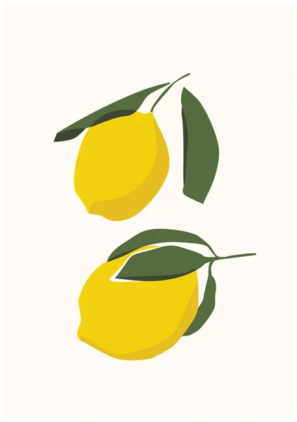 Folhas Plantas Com Limões Amarelos Frutos Ilustração Vetorial Flora Alimentos —  Vetores de Stock