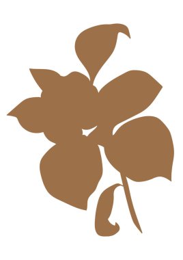 Beyaz yalıtılmış arka plandaki kolajlar için soyut çiçek klipsi. Dekor için kesme parçası.