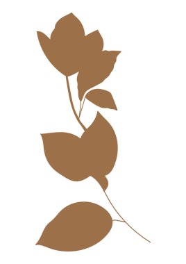 Beyaz yalıtılmış arka plandaki kolajlar için soyut çiçek klipsi. Dekor için kesme parçası.