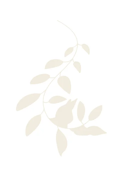 Αφηρημένη Floral Κλιπ Για Κολάζ Στο Λευκό Απομονωμένο Φόντο Κομμάτι — Φωτογραφία Αρχείου