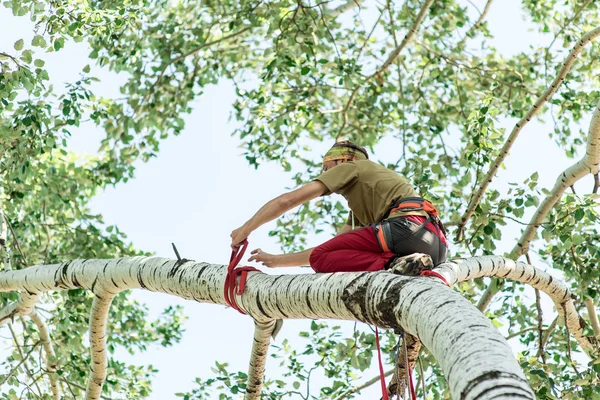 O homem sobe uma árvore e a cura, meio ambiente e ecologia . — Fotografia de Stock