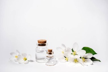 Spa doğal kozmetik konsepti. Beyaz arka plan