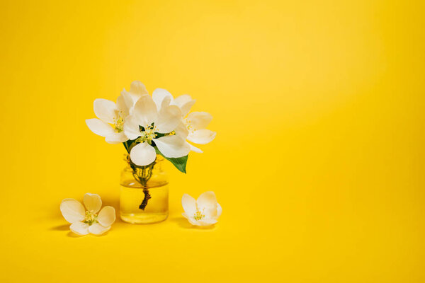 Spa natural cosmetic concept. Bright yellow background