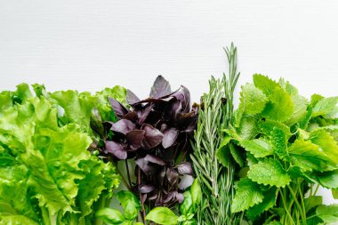 Ahşap bir masada taze yeşil salata, Fesleğen, biberiye ve Melissa yaprakları.