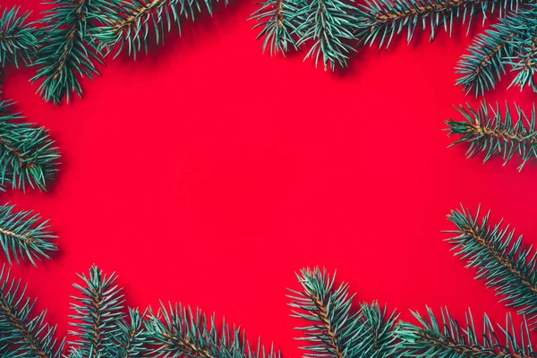Fir branches on red background. Christmas wallpaper.