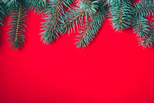 Gałęzie jodłowe na czerwonym tle. Świąteczna tapeta. — Zdjęcie stockowe