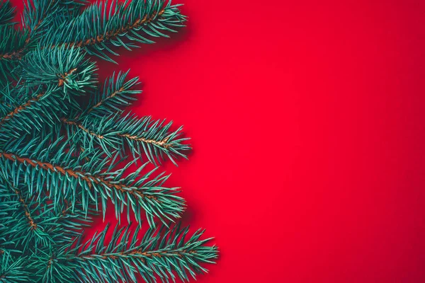 Gałęzie jodłowe na czerwonym tle. Świąteczna tapeta. — Zdjęcie stockowe