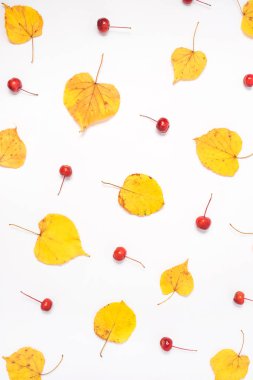 Beyaz bir arka plan üzerinde sarı yaprakları ve kırmızı çilek Sonbahar kompozisyon