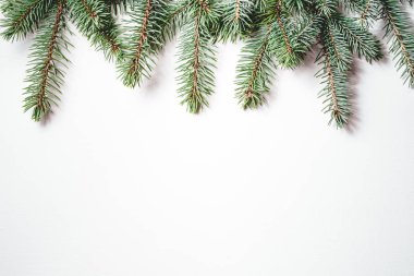 Beyaz arka planda köknar dalları. Noel duvar kağıdı.