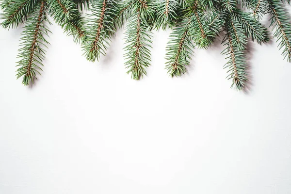 Beyaz arka planda köknar dalları. Noel duvar kağıdı.