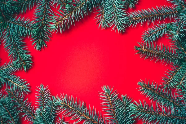 Fir branches on red background. Christmas wallpaper.
