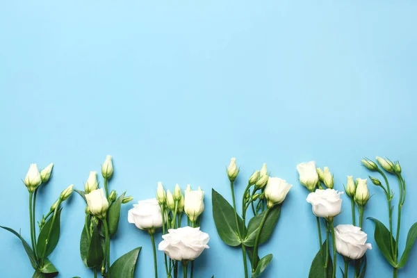 Flores blancas frescas sobre un fondo azul pastel. — Foto de Stock