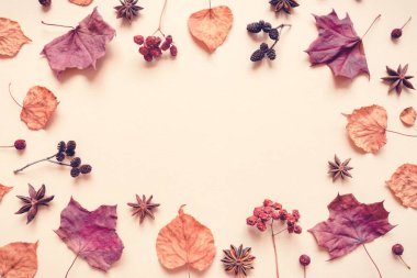 Yapraklar, böğürtlenler ve baharatlardan oluşan sonbahar pastel arka planı.