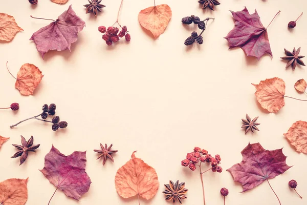 Yapraklar, böğürtlenler ve baharatlardan oluşan sonbahar pastel arka planı.