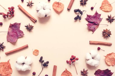 Yapraklar, böğürtlenler ve baharatlardan oluşan sonbahar pastel arka planı.