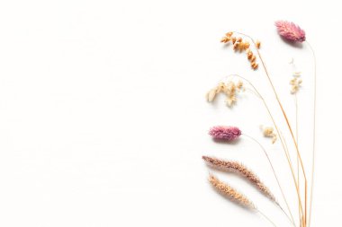 Olgun kulakların sonbahar arkaplanı. Düz yerde, üst tarafta. Metin için alanı kopyala.