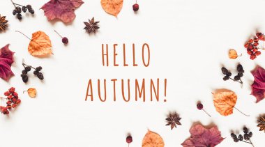 Yapraklar, böğürtlenler ve konilerden oluşan sonbahar arkaplanı. Düz yerde, üst tarafta. Metin için alanı kopyala.