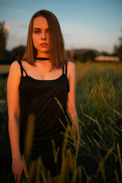 女孩在田野里的落日照片 田野的深处 户外的女人 — 图库照片