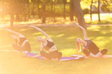 Üç genç, dışarıda parkta aerobik egzersizleri yapıyor. Ağaç kadın, sağlıklı ve aktif bir yaşam tarzı. Parkta meditasyon, rahatlama. Çimenlerde yoga yapan güzel bir kadın.