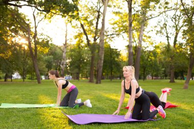 Üç genç, dışarıda parkta aerobik egzersizleri yapıyor. Ağaç kadın, sağlıklı ve aktif bir yaşam tarzı. Parkta meditasyon, rahatlama. Çimenlerde yoga yapan güzel bir kadın.