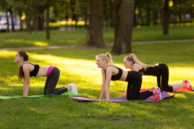 Üç genç, dışarıda parkta aerobik egzersizleri yapıyor. Ağaç kadın, sağlıklı ve aktif bir yaşam tarzı. Parkta meditasyon, rahatlama. Çimenlerde yoga yapan güzel bir kadın.