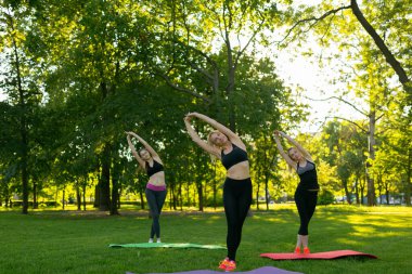 Üç genç, dışarıda parkta aerobik egzersizleri yapıyor. Ağaç kadın, sağlıklı ve aktif bir yaşam tarzı. Parkta meditasyon, rahatlama. Çimenlerde yoga yapan güzel bir kadın.