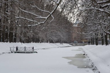 ağaçlar ve gölet Sankt Petersburg, Rusya ile karlı park