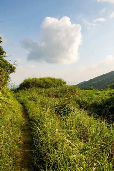 Small path in chinese mountains