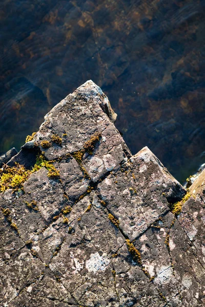 Rock close-up in lake shore at dawn